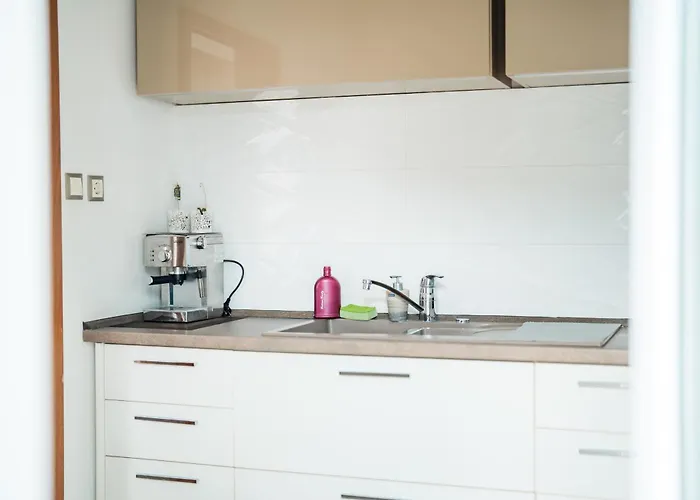 Black Sea Centre By Flat Manаger 公寓